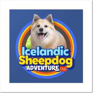 Icelandic Sheepdog Posters and Art